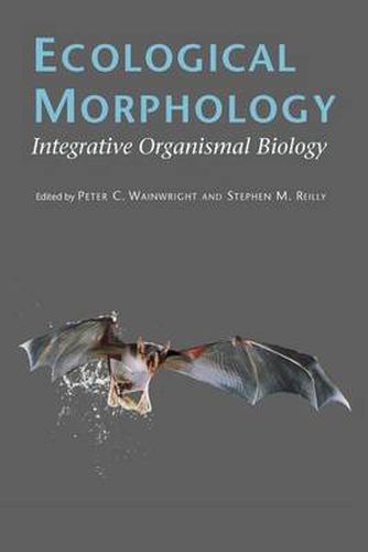 Cover image for Ecological Morphology: Integrative Organismal Biology