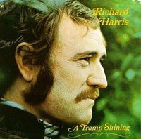 Cover image for A Tramp Shining