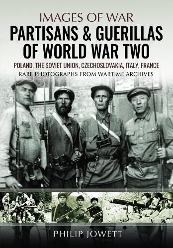 Cover image for Partisans & Guerrillas of World War Two