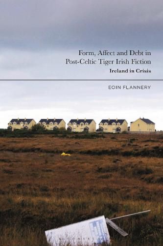 Form, Affect and Debt in Post-Celtic Tiger Irish Fiction: Ireland in Crisis