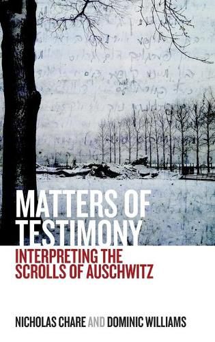 Cover image for Matters of Testimony: Interpreting the Scrolls of Auschwitz