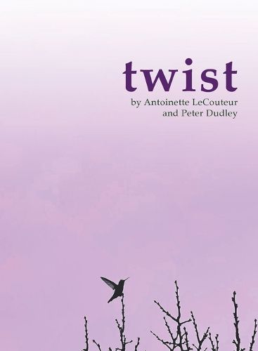 Cover image for twist