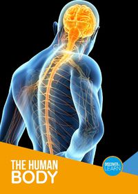 Cover image for The Human Body