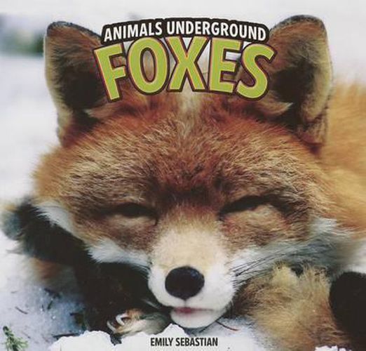 Cover image for Foxes