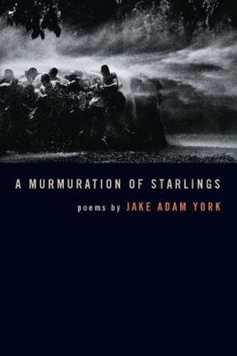 Cover image for A Murmuration of Starlings