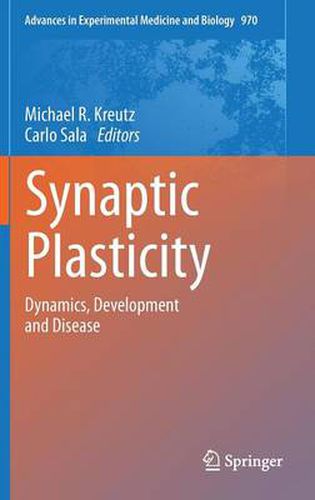 Cover image for Synaptic Plasticity: Dynamics, Development and Disease