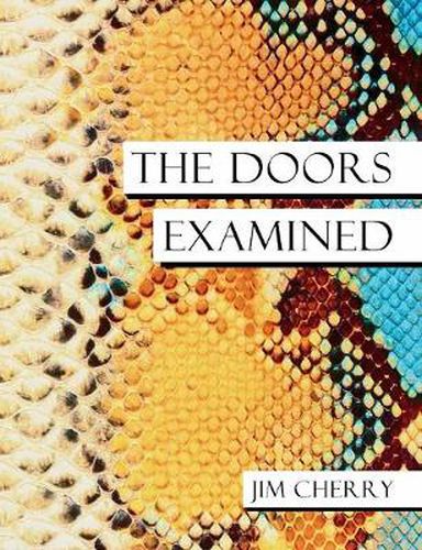 Cover image for The Doors Examined