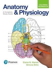 Cover image for Anatomy and Physiology Coloring Workbook: A Complete Study Guide