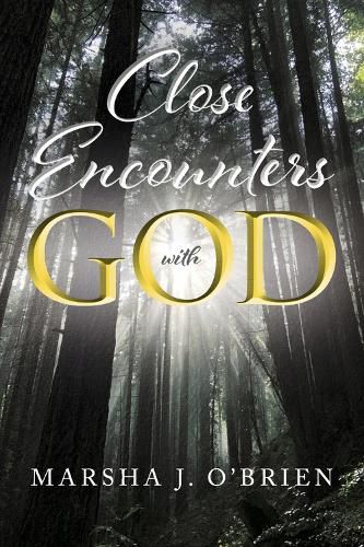 Cover image for Close Encounters with God