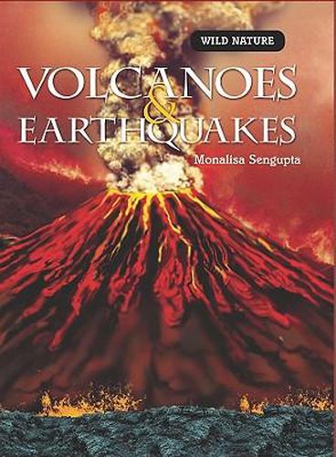 Cover image for Volcanoes & Earthquakes