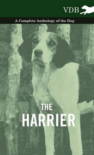 Cover image for The Harrier - A Complete Anthology of the Dog