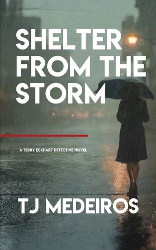 Cover image for Shelter From The Storm