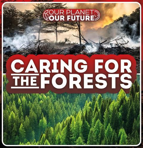 Cover image for Caring for the Forests