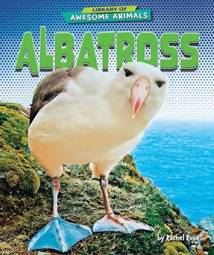 Cover image for Albatross