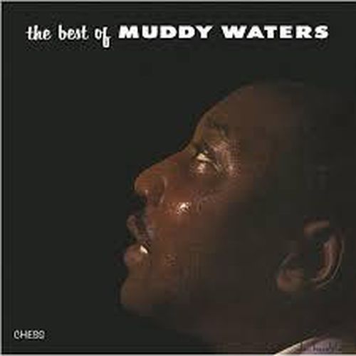 Cover image for The Best Of - Muddy Waters *** Vinyl
