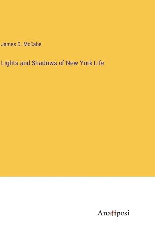 Cover image for Lights and Shadows of New York Life