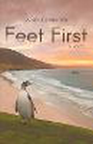 Cover image for Feet First