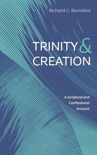 Cover image for Trinity and Creation: A Scriptural and Confessional Account