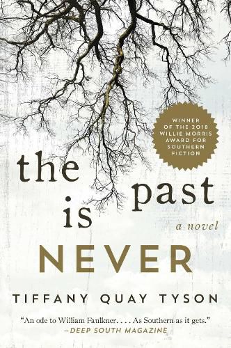 Cover image for The Past Is Never: A Novel