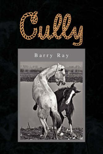 Cover image for Cully