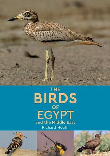 Cover image for The Birds of Egypt and the Middle East