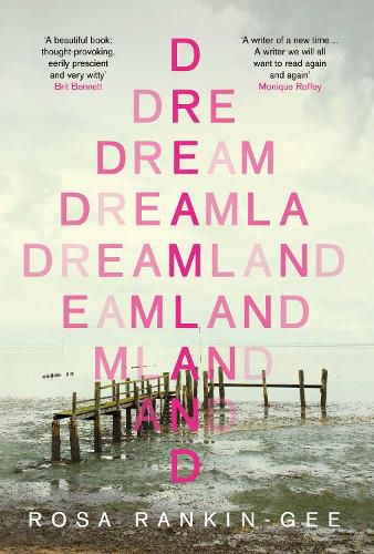 Cover image for Dreamland: An Evening Standard 'Best New Book' of 2021