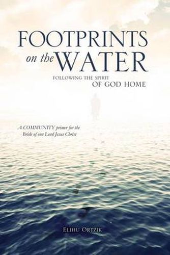 Cover image for Footprints on the Water