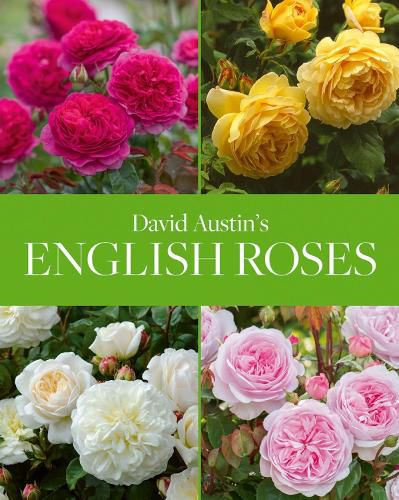 Cover image for David Austin's English Roses