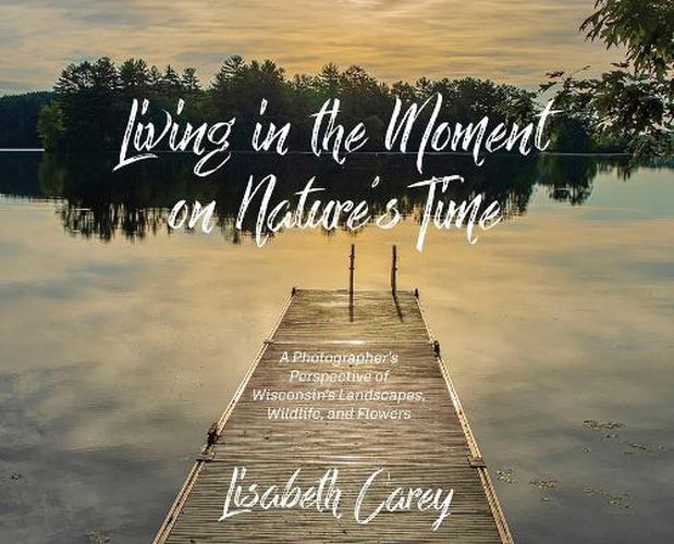 Cover image for Living in the Moment on Nature's Time