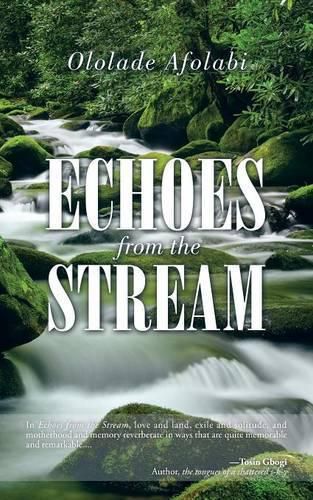 Cover image for Echoes from the Stream