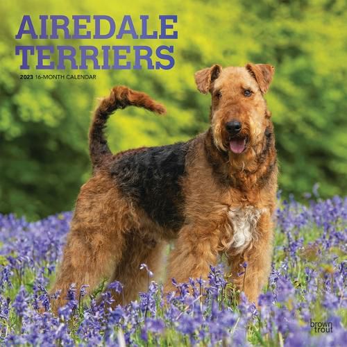 Airedale Terriers 2023 Square Foil