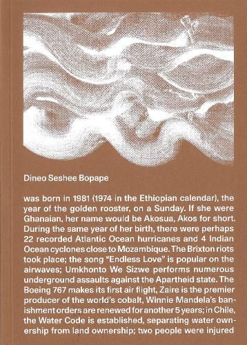 Cover image for Dineo Seshee Bopape