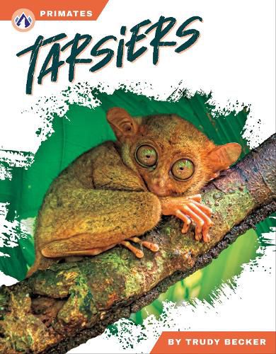 Cover image for Tarsiers
