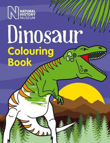 Cover image for Dinosaur Colouring Book