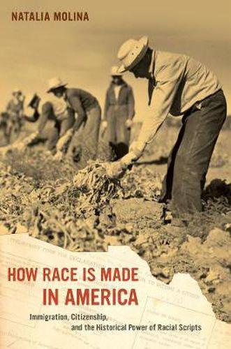 Cover image for How Race Is Made in America: Immigration, Citizenship, and the Historical Power of Racial Scripts