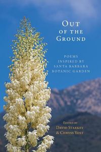 Cover image for Out of the Ground