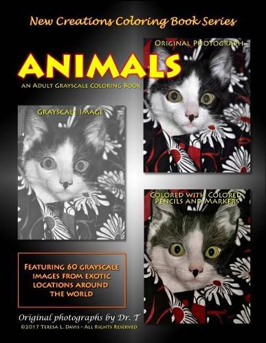 Cover image for New Creations Coloring Book Series: Animals