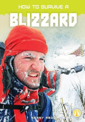 Cover image for How to Survive a Blizzard