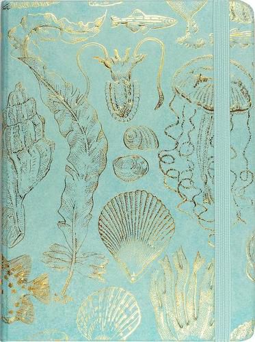 Cover image for Sealife Sketches Journal