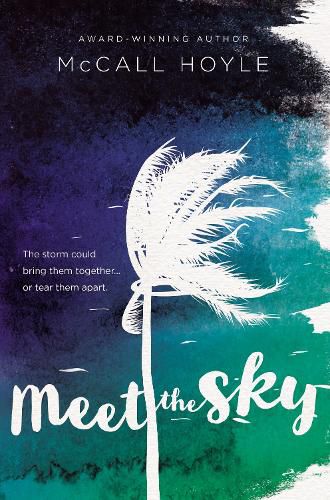 Cover image for Meet the Sky