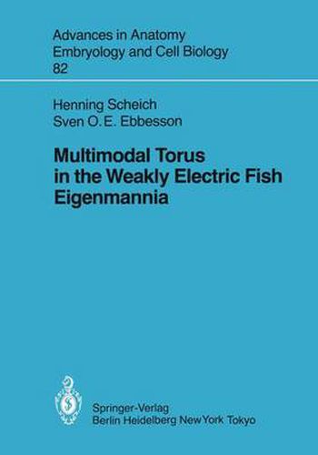 Cover image for Multimodal Torus in the Weakly Electric Fish Eigenmannia