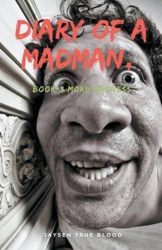 Cover image for Diary Of A Madman, Book 3: More Madness