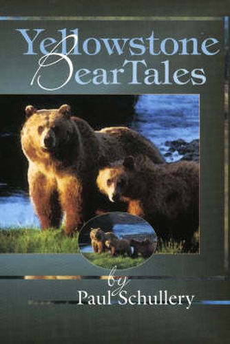 Cover image for Yellowstone Bear Tales