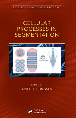 Cover image for Cellular Processes in Segmentation