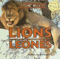 Cover image for Lions / Leones