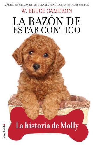 Cover image for La razon de estar contigo. La historia de Molly / A Dog's Way Home. Molly's Hist ory