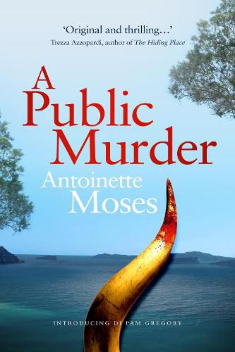 Cover image for A Public Murder: Introducing DI Pam Gregory