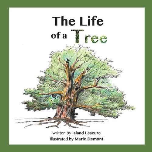 The Life of a Tree