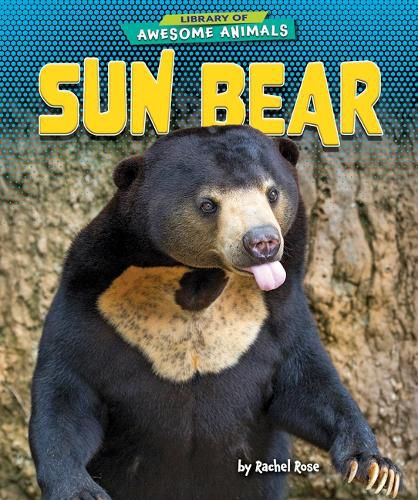 Cover image for Sun Bear