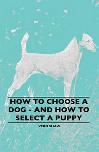 Cover image for How To Choose A Dog - And How To Select A Puppy